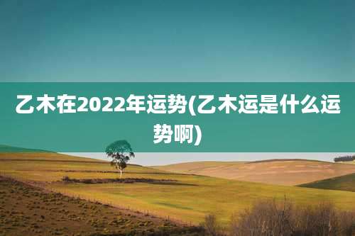 乙木在2022年运势(乙木运是什么运势啊)