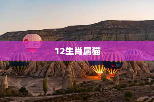 12生肖属猫