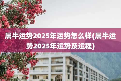 属牛运势2025年运势怎么样(属牛运势2025年运势及运程)