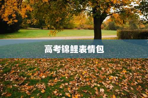 高考锦鲤表情包