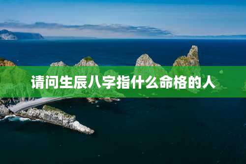 请问生辰八字指什么命格的人