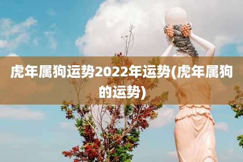 虎年属狗运势2022年运势(虎年属狗的运势)