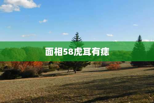 面相58虎耳有痣