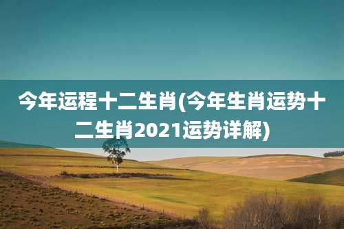 今年运程十二生肖(今年生肖运势十二生肖2021运势详解)