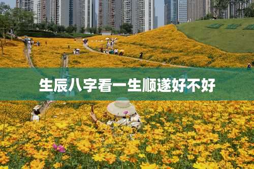 生辰八字看一生顺遂好不好