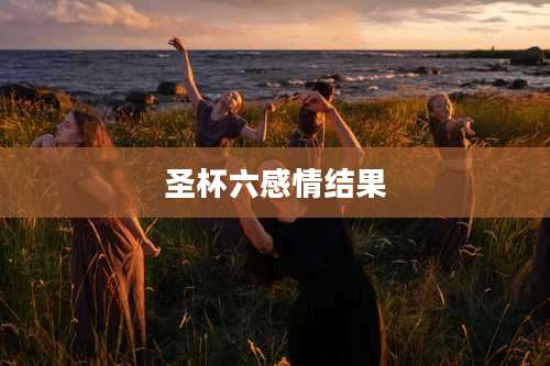 圣杯六感情结果