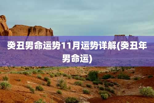 癸丑男命运势11月运势详解(癸丑年男命运)