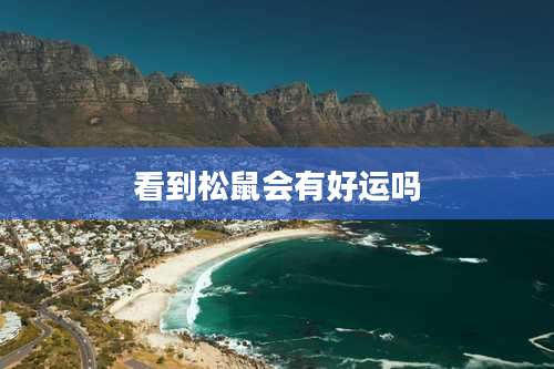 看到松鼠会有好运吗