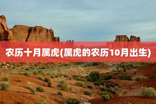 农历十月属虎(属虎的农历10月出生)