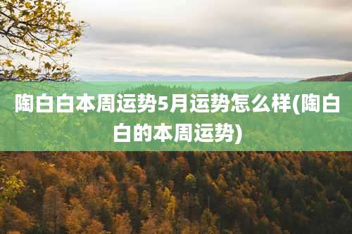 陶白白本周运势5月运势怎么样(陶白白的本周运势)