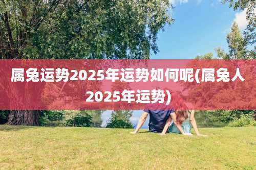 属兔运势2025年运势如何呢(属兔人2025年运势)