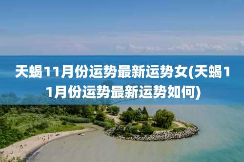 天蝎11月份运势最新运势女(天蝎11月份运势最新运势如何)