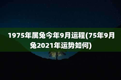 1975年属兔今年9月运程(75年9月兔2021年运势如何)