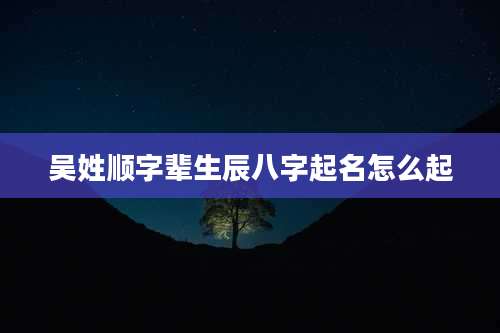 吴姓顺字辈生辰八字起名怎么起