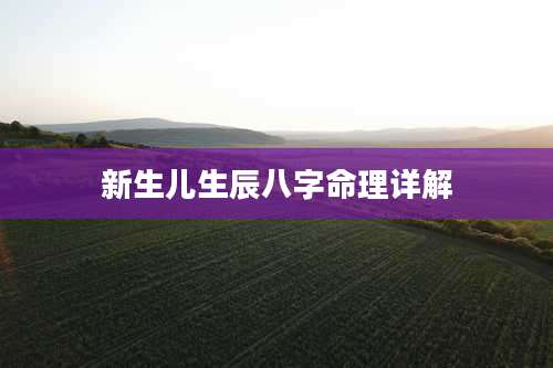 新生儿生辰八字命理详解