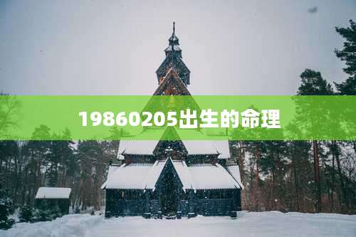19860205出生的命理
