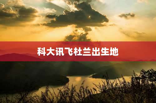 科大讯飞杜兰出生地