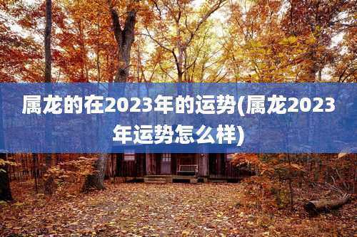 属龙的在2023年的运势(属龙2023年运势怎么样)