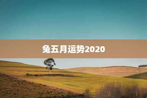 兔五月运势2020