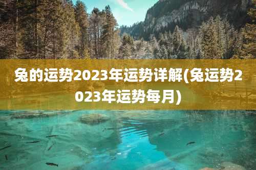 兔的运势2023年运势详解(兔运势2023年运势每月)