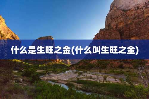 什么是生旺之金(什么叫生旺之金)