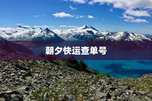 朝夕快运查单号