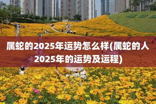 属蛇的2025年运势怎么样(属蛇的人2025年的运势及运程)