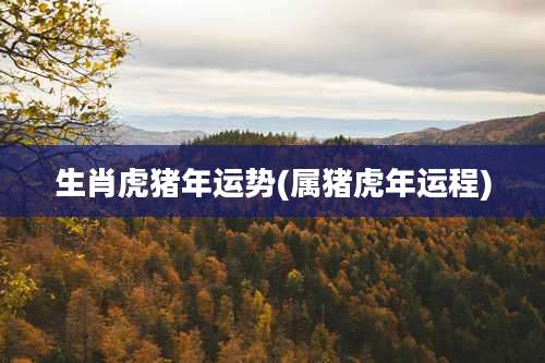 生肖虎猪年运势(属猪虎年运程)