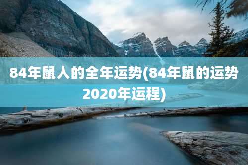 84年鼠人的全年运势(84年鼠的运势2020年运程)