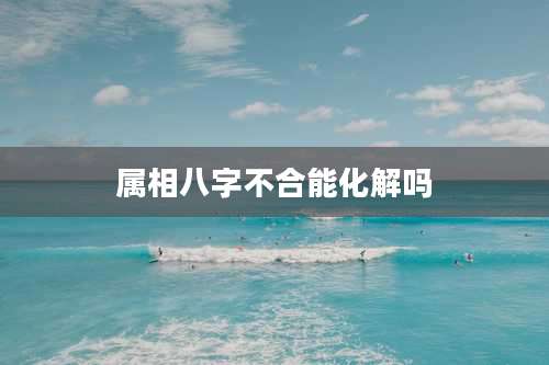 属相八字不合能化解吗
