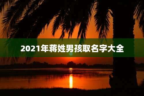 2021年蒋姓男孩取名字大全