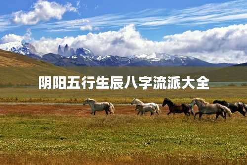 阴阳五行生辰八字流派大全