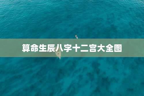 算命生辰八字十二宫大全图