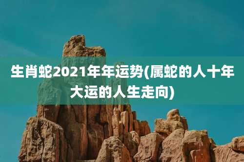 生肖蛇2021年年运势(属蛇的人十年大运的人生走向)