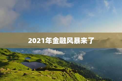 2021年金融风暴来了