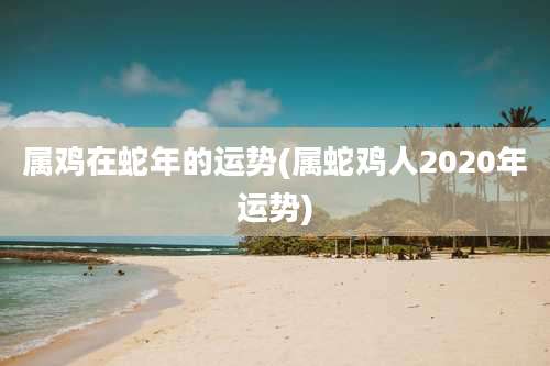 属鸡在蛇年的运势(属蛇鸡人2020年运势)