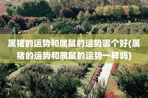 属猪的运势和属鼠的运势哪个好(属猪的运势和属鼠的运势一样吗)