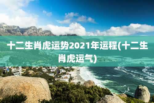 十二生肖虎运势2021年运程(十二生肖虎运气)