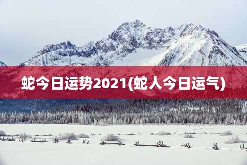 蛇今日运势2021(蛇人今日运气)