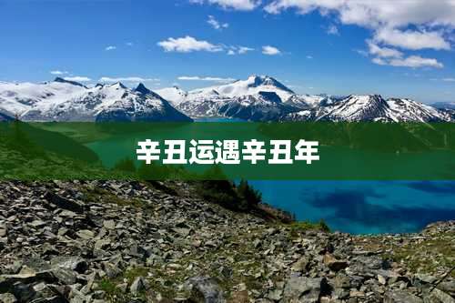 辛丑运遇辛丑年