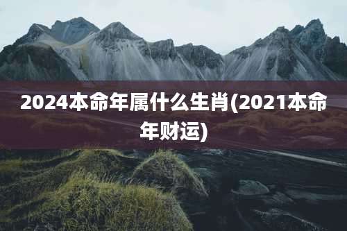 2024本命年属什么生肖(2021本命年财运)