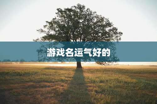游戏名运气好的