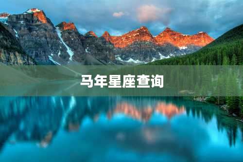 马年星座查询
