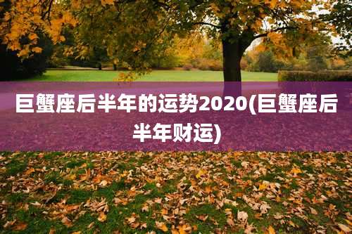 巨蟹座后半年的运势2020(巨蟹座后半年财运)