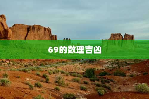 69的数理吉凶