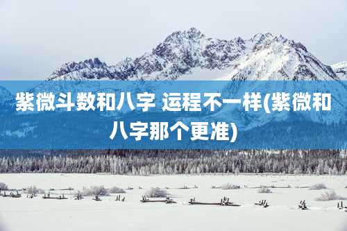 紫微斗数和八字 运程不一样(紫微和八字那个更准)
