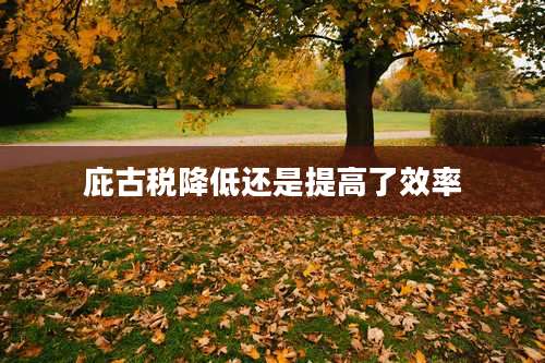 庇古税降低还是提高了效率