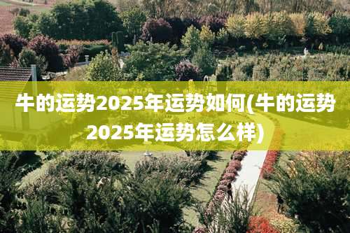 牛的运势2025年运势如何(牛的运势2025年运势怎么样)