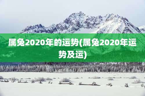 属兔2020年的运势(属兔2020年运势及运)