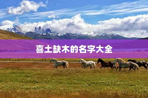 喜土缺木的名字大全